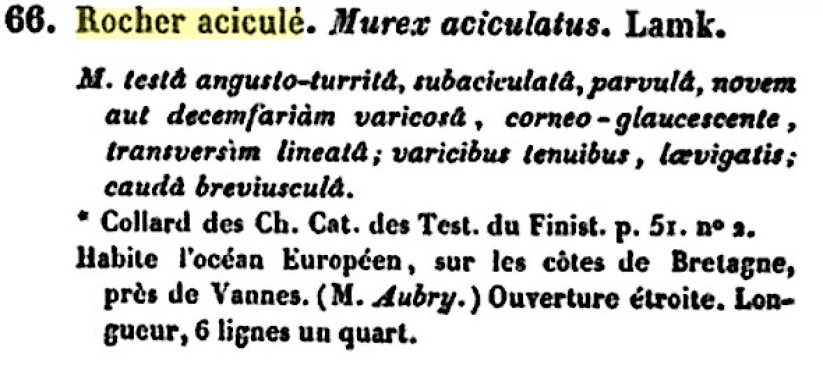 <p>Bonsoir,</p><p>Lamarck en son temps (1822) l'appelait le rocher aciculé...<br></p>