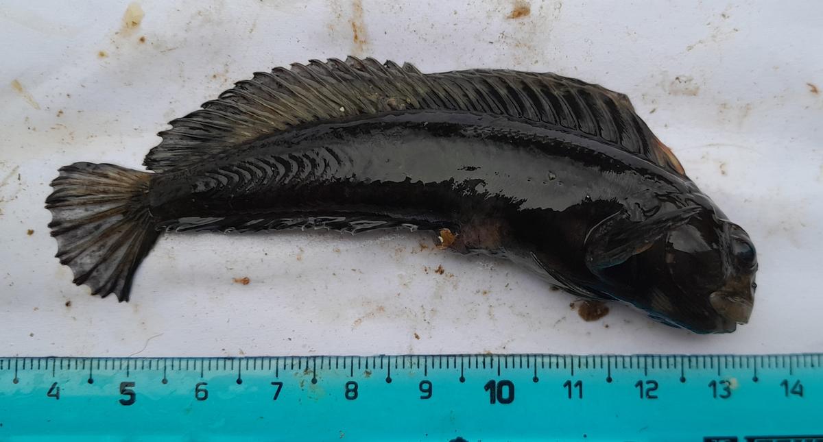 Une confirmation svp