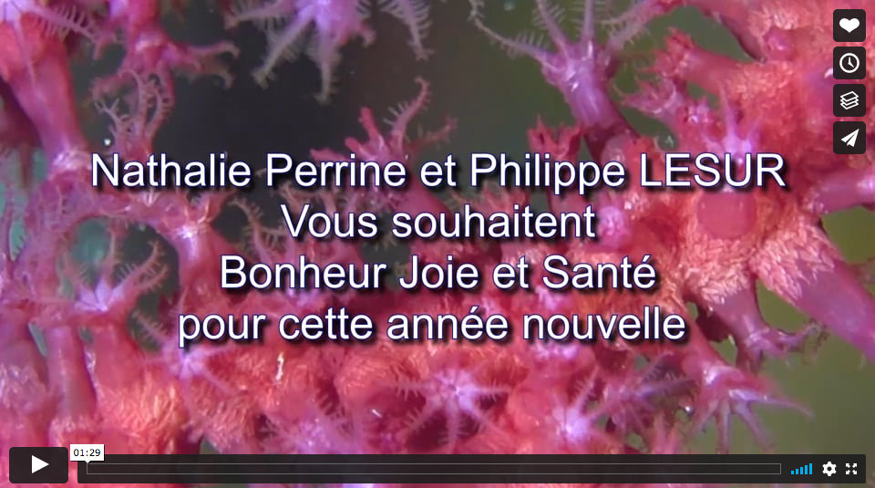 <p>Bonjour</p><p>A la demande de Philippe LESUR, je vous transmets le lien pour une vidéo avec un parallèle de circonstances joliment trouvé !</p><...