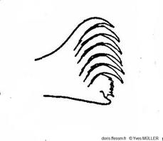 Amphictene_auricoma_my_01