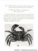 aratus_pisonii-repro-doc-anciens01