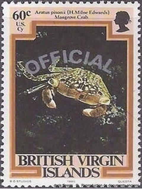 aratus_pisonii-repro-doc-anciens02