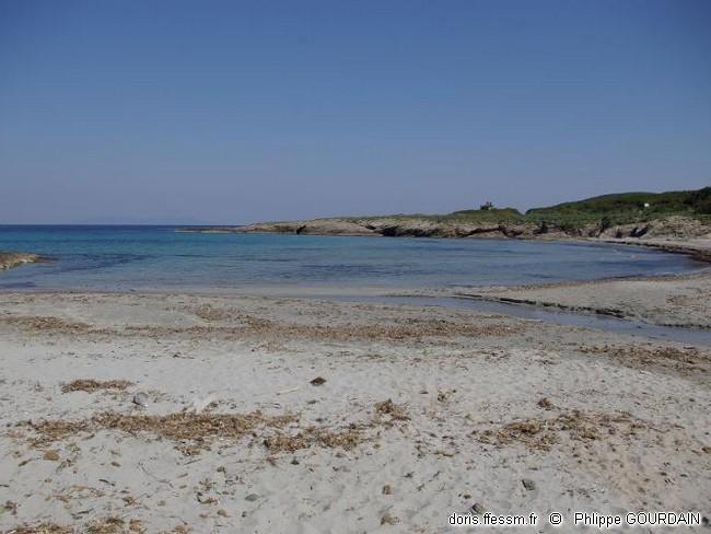 Biocénose des sables supralittoraux