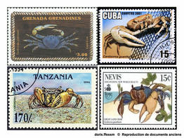 cardisoma_guanhumi-timbres01