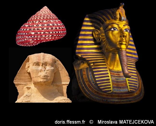 clanculus_pharaonius-mimat-img_02