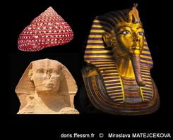 clanculus_pharaonius-mimat-img_02