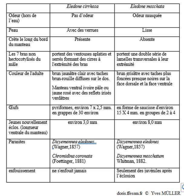 Comparaison_élédones_my_01