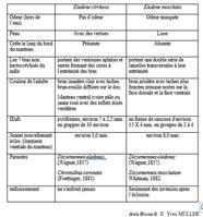 Comparaison_élédones_my_01