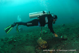 homo_subaquaphilus-vl3