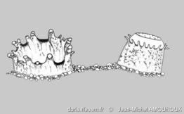 dosinia_exoleta_siphons-jmam-img_517