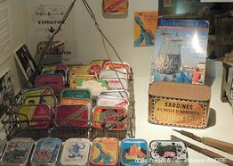 sardina_pilchardus_boites-FA