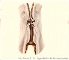 gari_depressa-rda-img_1729