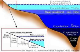 glossaire_circalittoral-aps_cnbs609