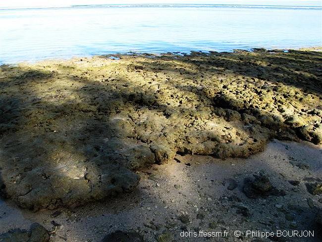 gres-de-plage_glossaire-pbourjon02