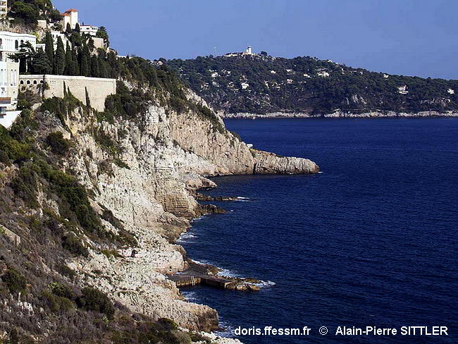 Habitat_Roche_supralittorale-apsi001