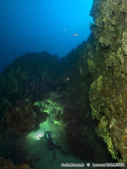 Habitats_Grottes semi-obscures-laba012
