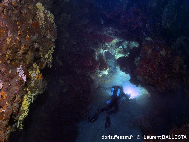 Habitats_Roches-des-grands-fonds_laba666