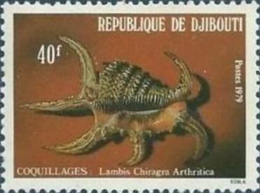 harpago_arthriticus-rda-img_42