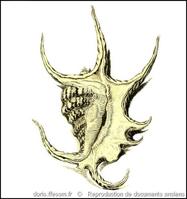 harpago_chiragra-rda-img_1823