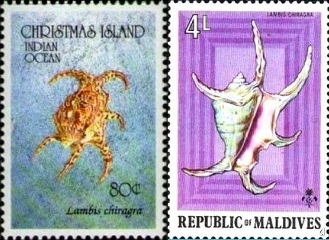 harpago_chiragra-rda-img_839