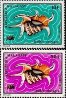 harpago_chiragra-rda-mada_img_517