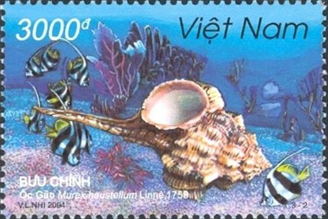 haustellum_haustellum-rda-img_2135