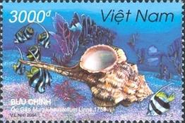 haustellum_haustellum-rda-img_2135