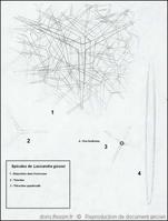 leucandra_gossei-rda-img_235