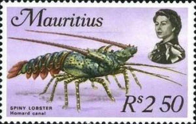 Panulirus_ornatus_timbre_01