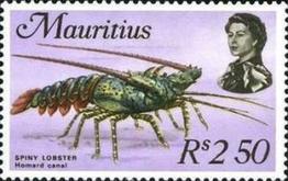Panulirus_ornatus_timbre_01
