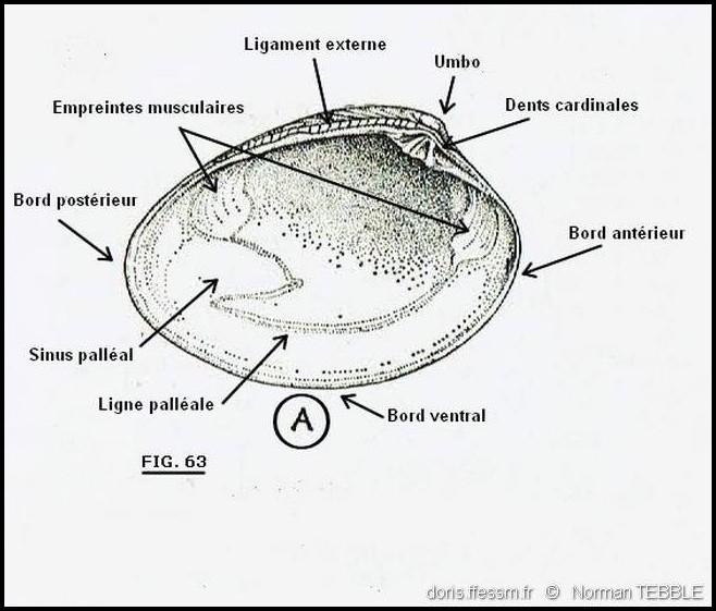polititapes_aureus-note-img_3810