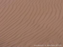 ripple-mark_glossaire-aps01