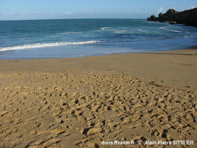  Sable_découvert_à marée_basse-aps0030