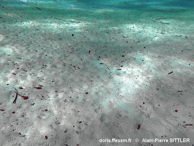 Sables_fins_de_haut_niveau-apsi010