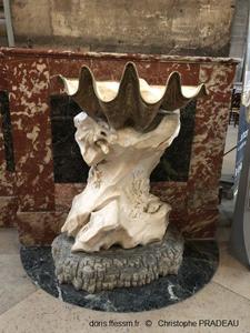 Tridacna-gigas_pc_01