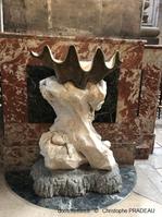 Tridacna_gigas_pc_02
