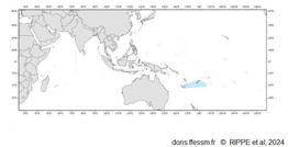 Tridacna_mbalavuana_R_01