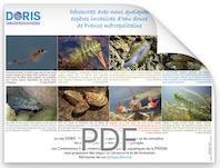 2017-eaux-douces-Europe-sp-invasives-poster-DORIS-small