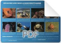 Affiche_DORIS-Reproduction_sexuée-2025