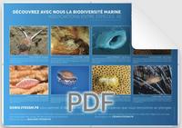Affiche_Doris_Associations2-2023