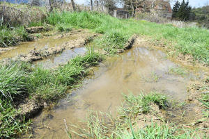 Biotope