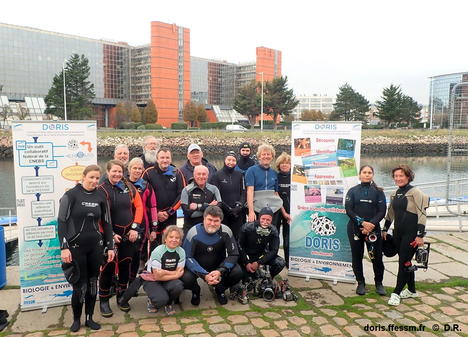 DORIS_actualité_site 25-11-2025