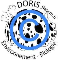 Logo-DORIS-licence_copyright2
