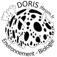 Logo_DORIS_carre_noir