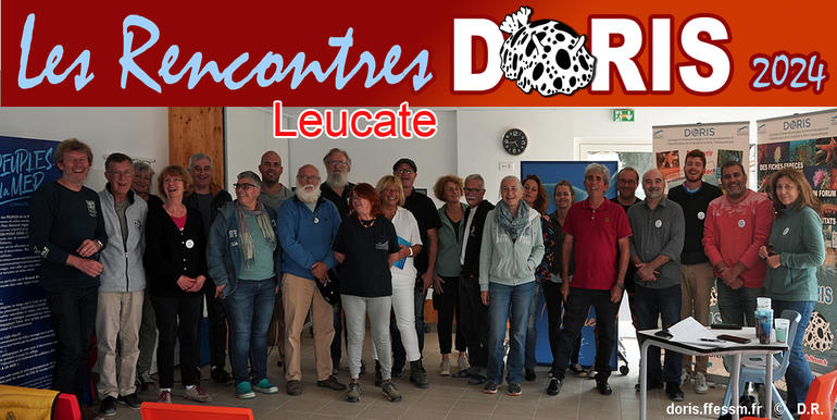 Sans titre-1 copie