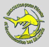 Association pour l'Etude et la Conservation des Sélaciens APECS