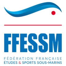  FFESSM