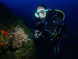 Vanessa BROUSSE DESPREZ